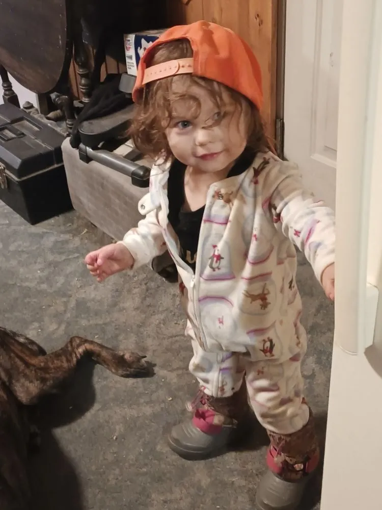 Expert landscape installation experts serving Sedgwick, ME - Mom & Pops Household Helpers