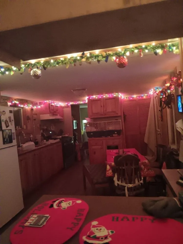 Reliable yard maintenance for homes across Sedgwick, ME - Mom & Pops Household Helpers