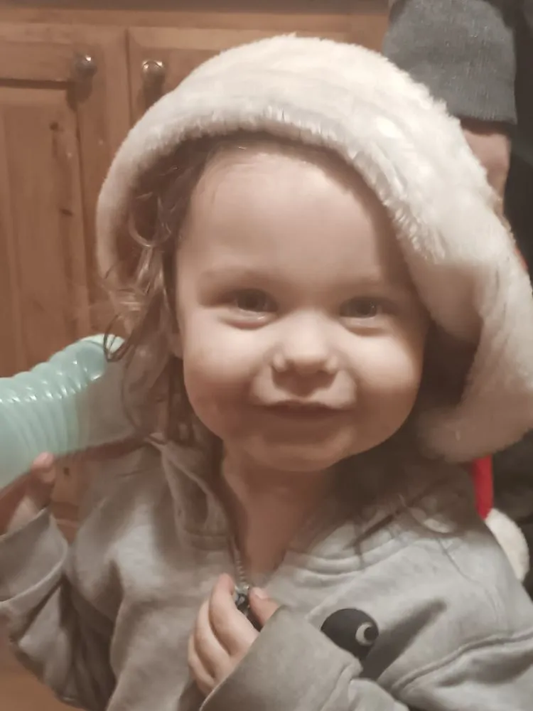 Expert landscaping services experts serving Sedgwick, ME - Mom & Pops Household Helpers