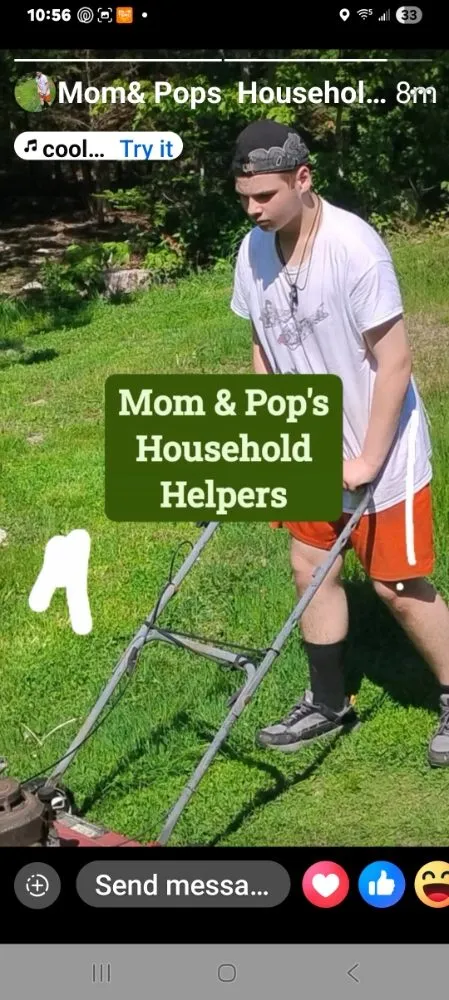 Local yard cleanup service in Sedgwick, ME by Mom & Pops Household Helpers