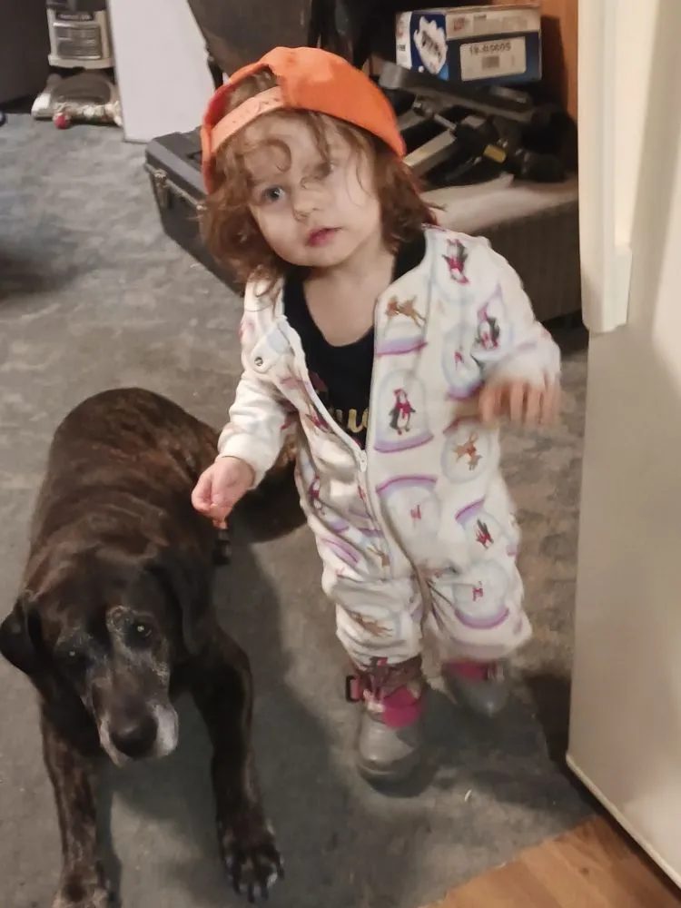 Reliable lawn mowing service experts serving Sedgwick, ME - Mom & Pops Household Helpers