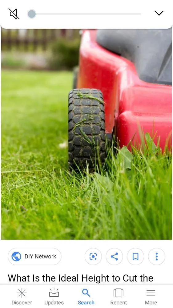 Top-rated yard maintenance for beautiful yards in New Albany, IN by Mom & Pops Lawn Care