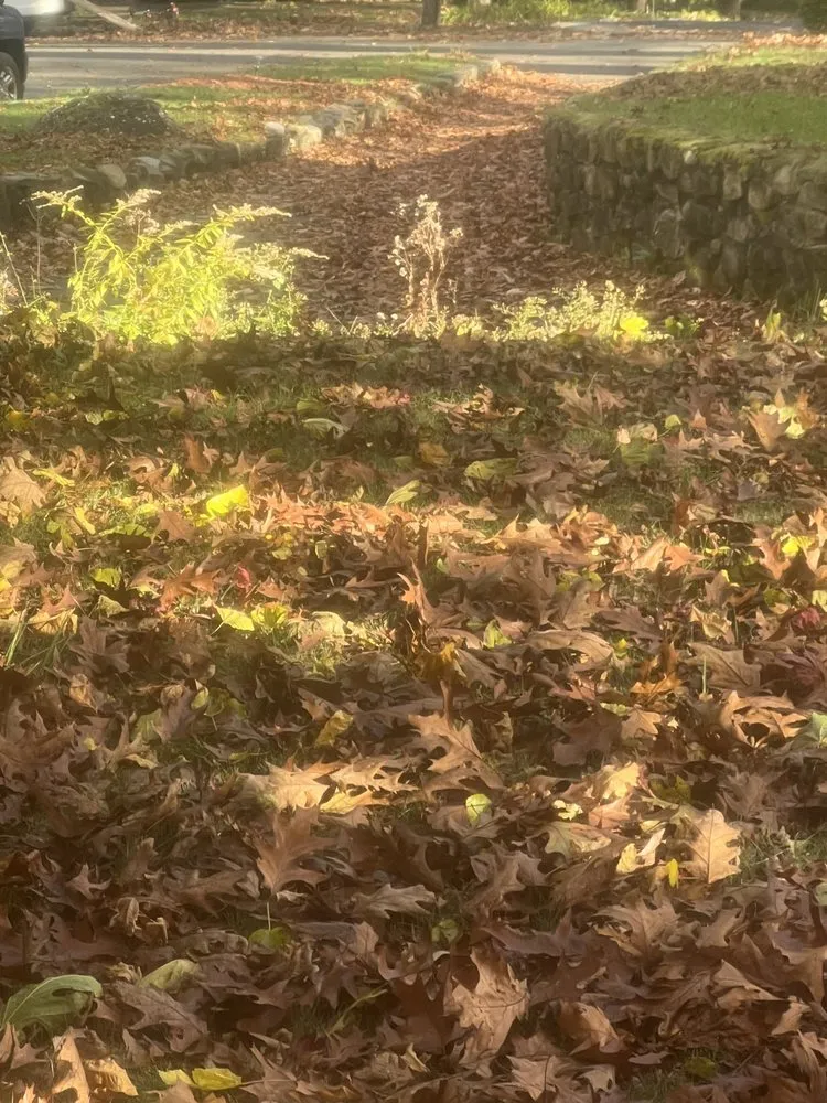 Reliable landscape installation for homes across Glen Rock, NJ - Mom & Son Landscaping MP