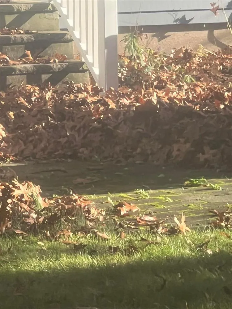 Affordable lawn care service experts serving Glen Rock, NJ - Mom & Son Landscaping MP