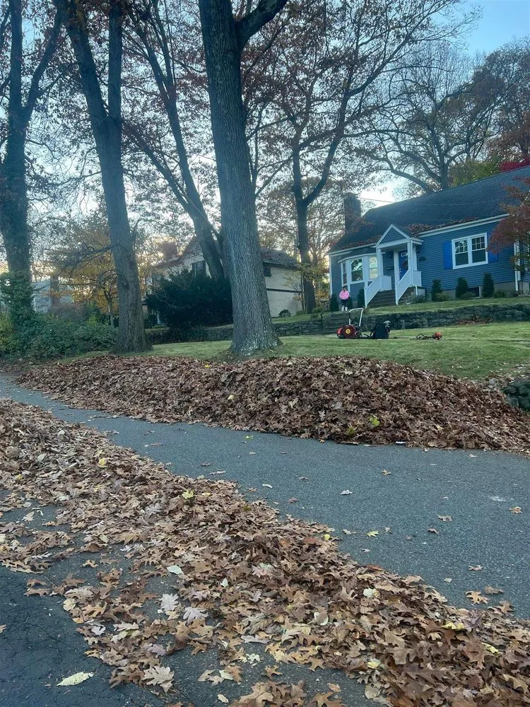 Expert lawn care service near you across Glen Rock, NJ - Mom & Son Landscaping MP