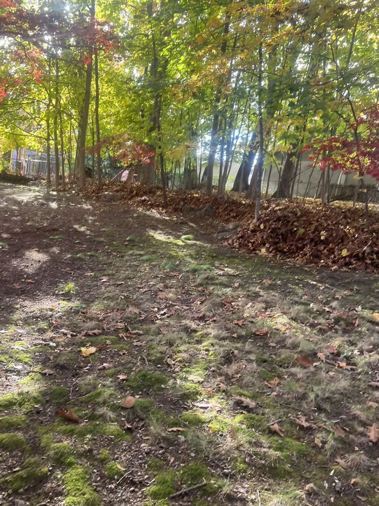 Custom outdoor landscaping experts serving Glen Rock, NJ - Mom & Son Landscaping MP