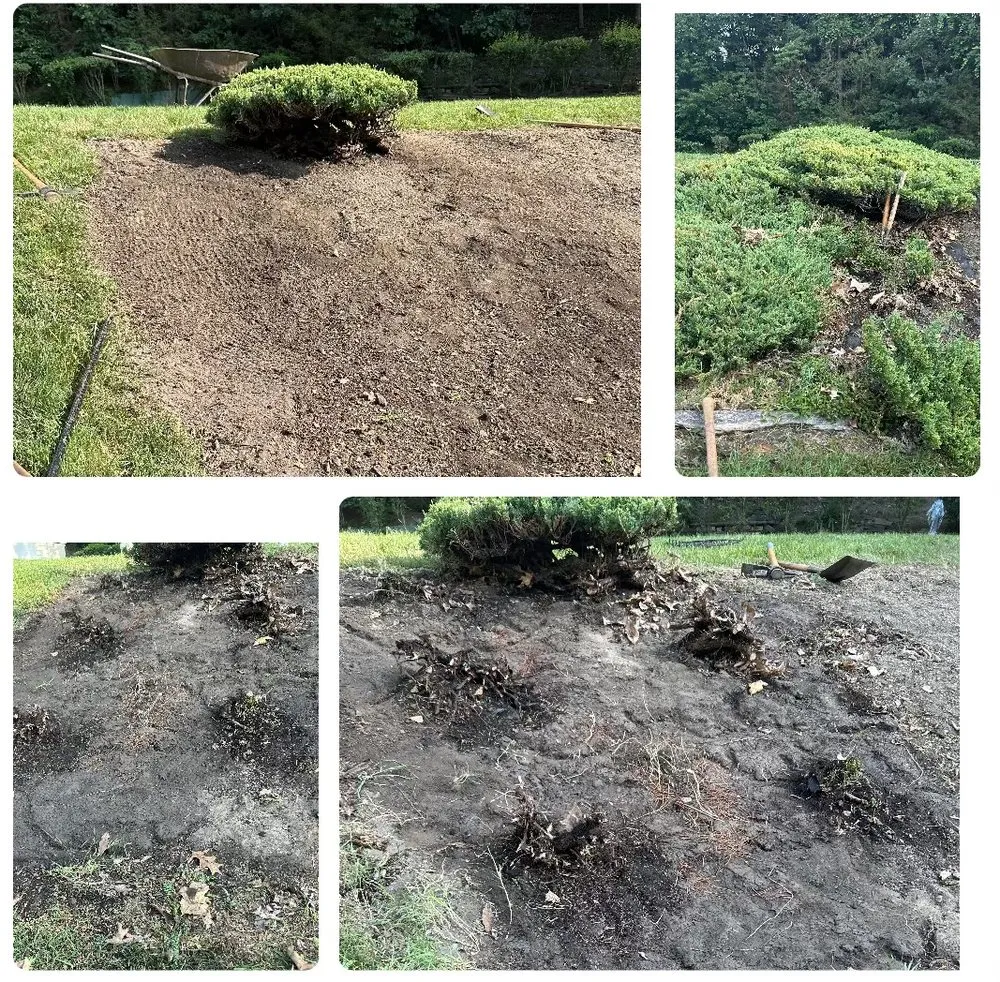 Custom residential landscaping experts serving Vandergrift, PA - Mom & Sun Lawn Care