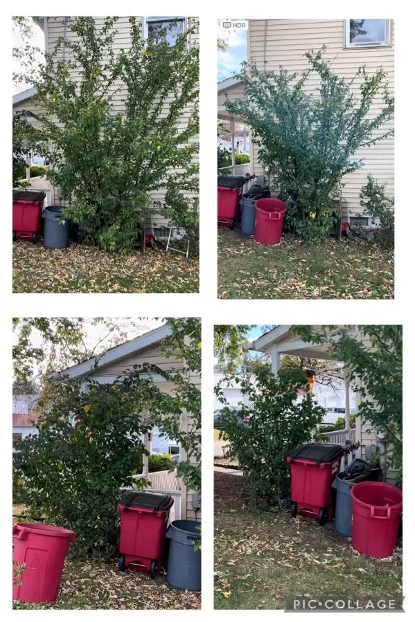 Reliable residential landscaping for homes across Vandergrift, PA - Mom & Sun Lawn Care