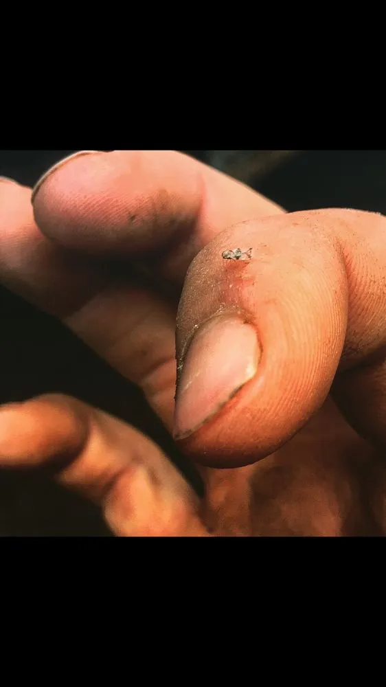 Top-rated garden landscaping for residential properties in Lancaster, PA by Moma Tree & Lawn care