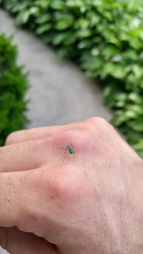 Professional garden landscaping in Lancaster, PA - Moma Tree & Lawn care