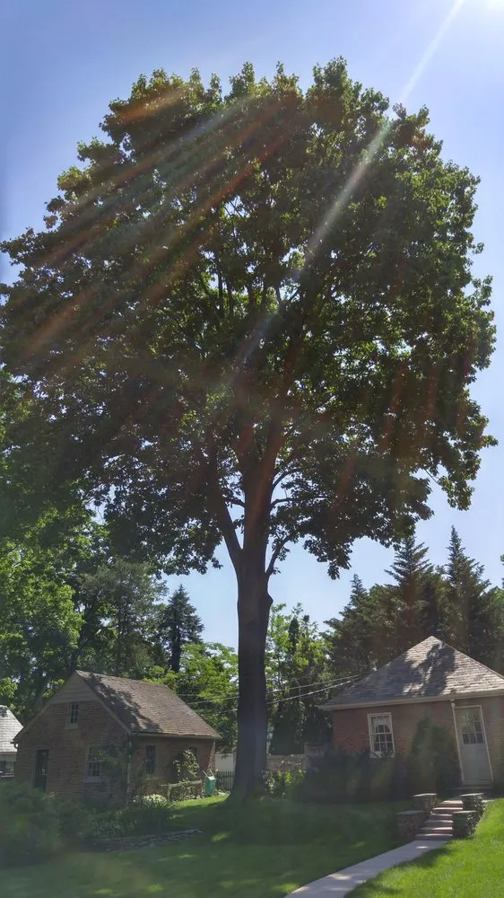 Reliable landscape design in Lancaster, PA - Moma Tree & Lawn care