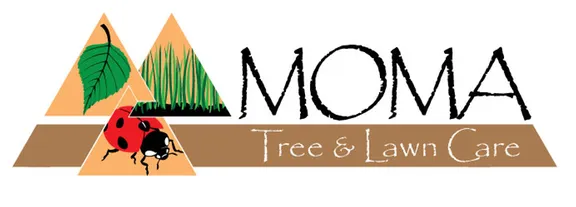 Reliable yard cleanup service for residential properties across Lancaster, PA - Moma Tree & Lawn care