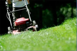 Moma Tree & Lawn care Logo