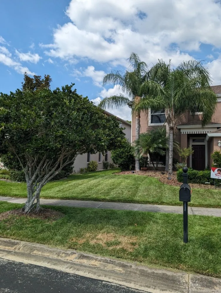 Local landscape design in Zephyrhills, FL by Momentum Lawn Care & Services