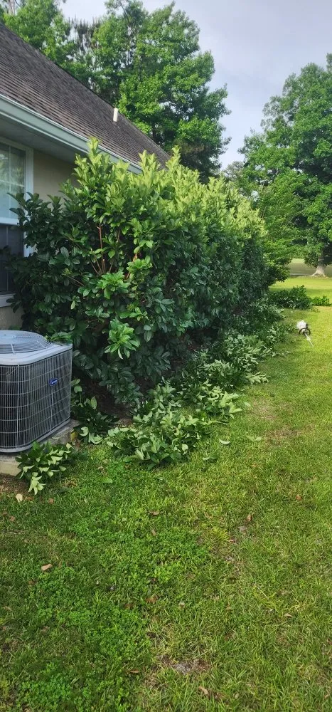 Top-rated landscaping services near you in Kingsland, GA by MoMo Lawn Service