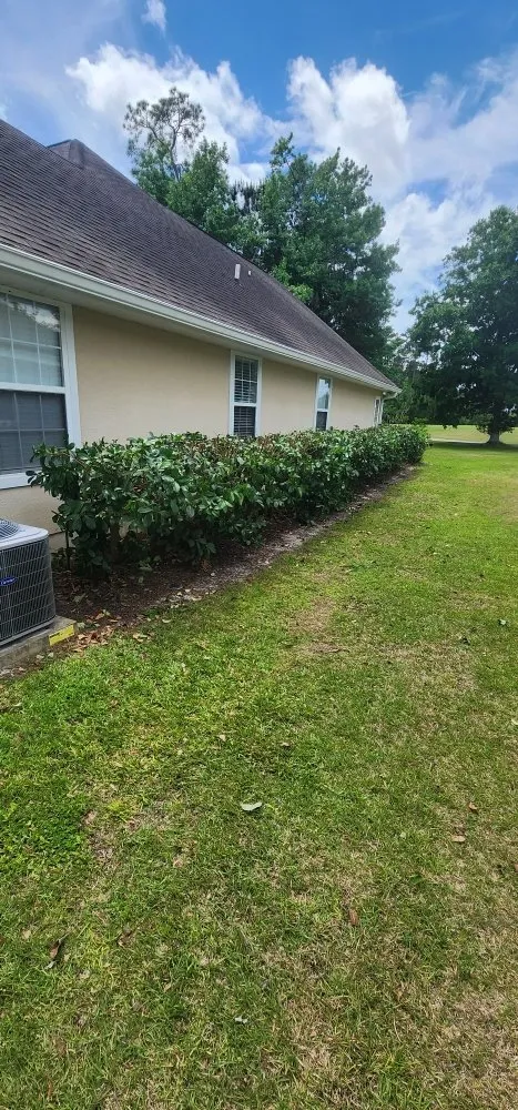 Custom yard cleanup service for residential properties across Kingsland, GA - MoMo Lawn Service