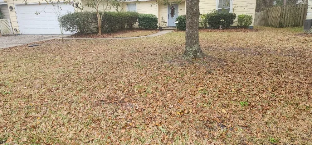 Local residential landscaping for year-round maintenance in Kingsland, GA by MoMo Lawn Service