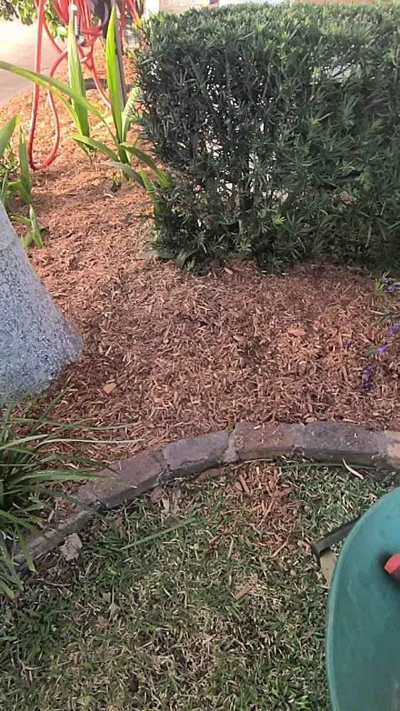 Reliable outdoor landscaping experts serving Kingsland, GA - MoMo Lawn Service