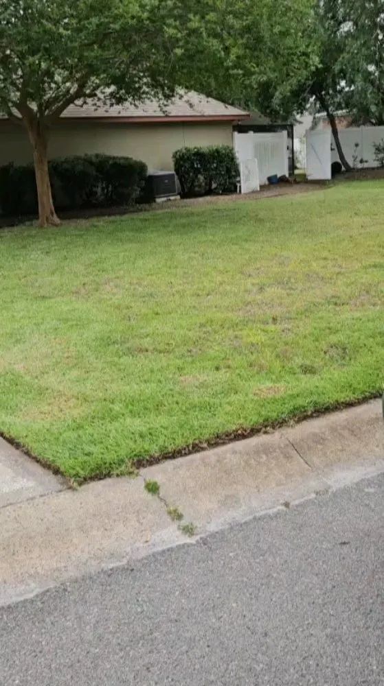 Trusted lawn care service near you across Kingsland, GA - MoMo Lawn Service