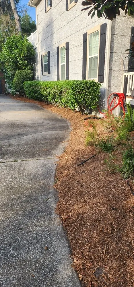 Local outdoor landscaping in Kingsland, GA by MoMo Lawn Service