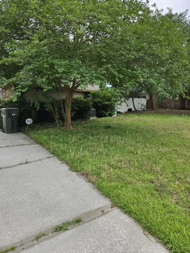 Expert yard cleanup service for beautiful yards in Kingsland, GA by MoMo Lawn Service