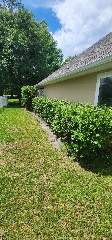 Custom landscape design experts serving Kingsland, GA - MoMo Lawn Service