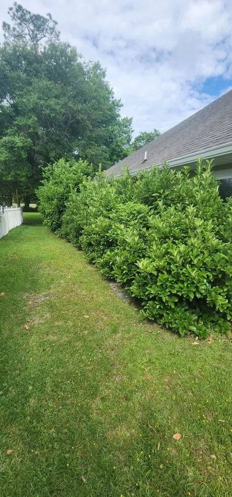 Top-rated yard maintenance with custom design across Kingsland, GA - MoMo Lawn Service