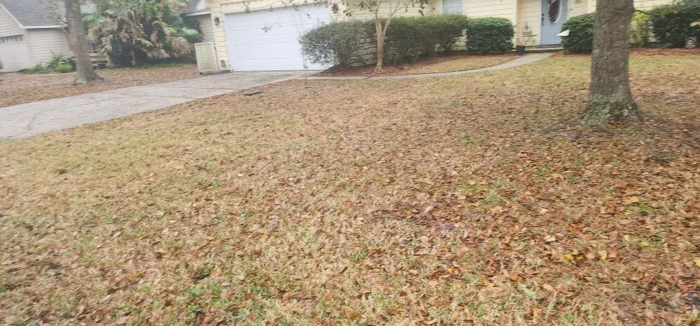 Top-rated outdoor landscaping in Kingsland, GA - MoMo Lawn Service