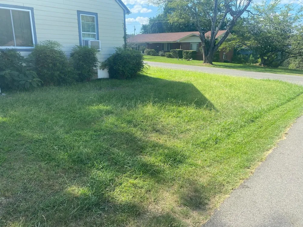 Trusted lawn care service for residential properties in Hot Springs, AR by Mom's Lawn Service