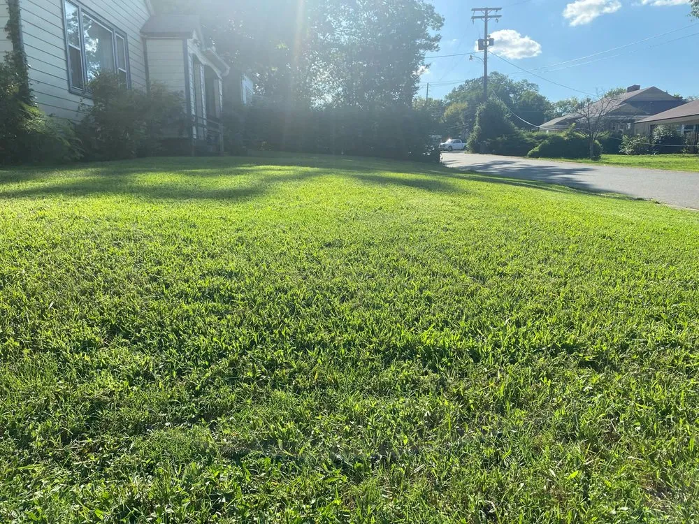 Custom landscaping services for beautiful yards in Hot Springs, AR by Mom's Lawn Service