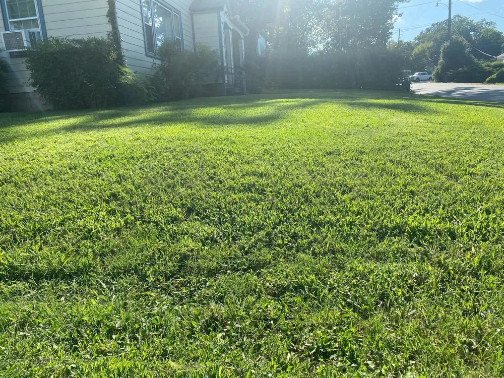 Professional lawn mowing service in Hot Springs, AR by Mom's Lawn Service