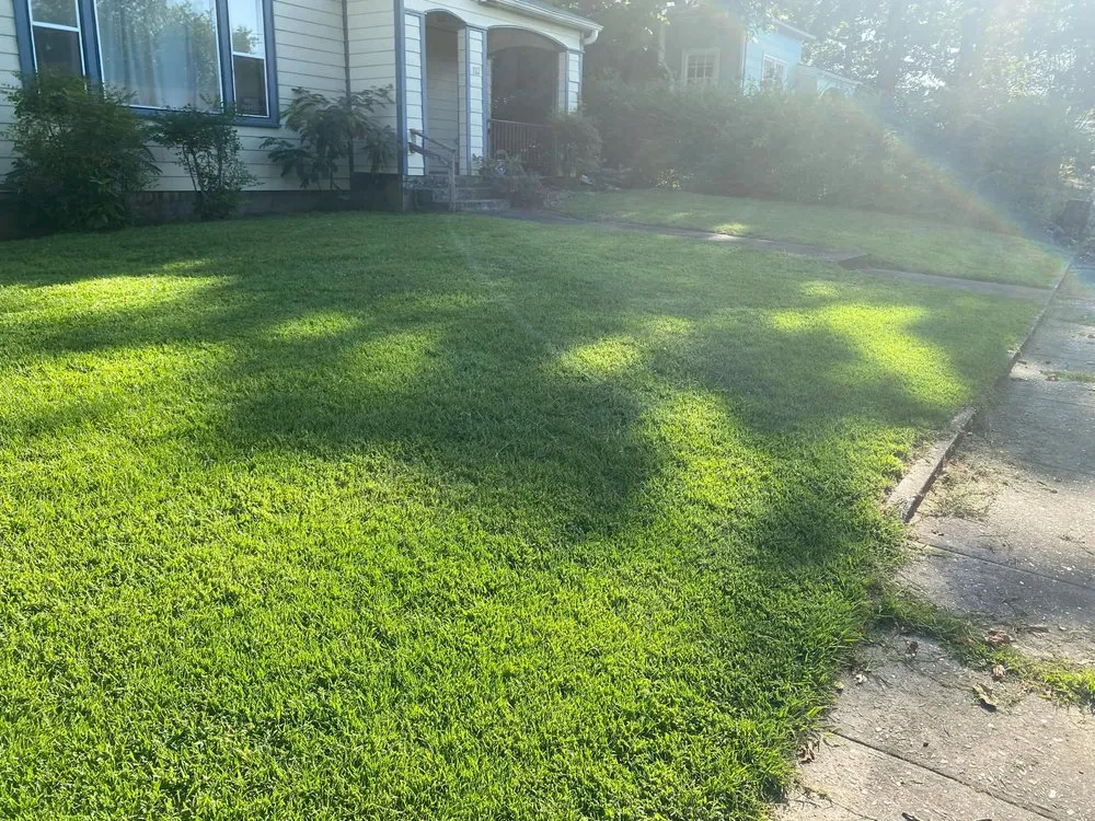Professional landscape installation for residential properties across Hot Springs, AR - Mom's Lawn Service