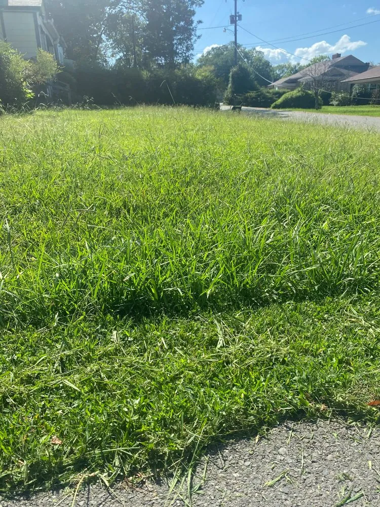 Professional residential landscaping in Hot Springs, AR by Mom's Lawn Service