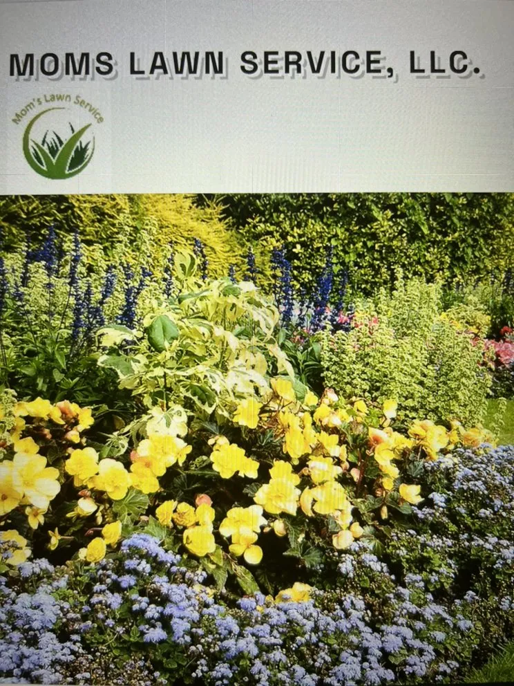 Top-rated garden landscaping in Marysville, OH by Moms Lawn Service