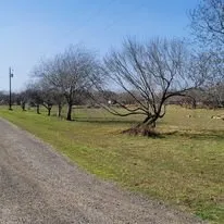 Professional garden landscaping in Robstown, TX - Mon-Tex Land Management