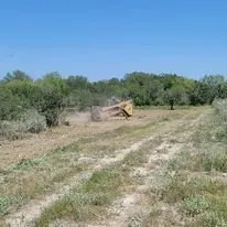 Affordable lawn mowing service in Robstown, TX by Mon-Tex Land Management