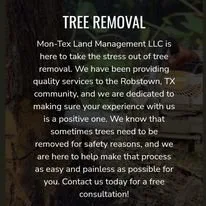 Custom residential landscaping in Robstown, TX - Mon-Tex Land Management