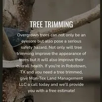 Expert outdoor landscaping for homes across Robstown, TX - Mon-Tex Land Management