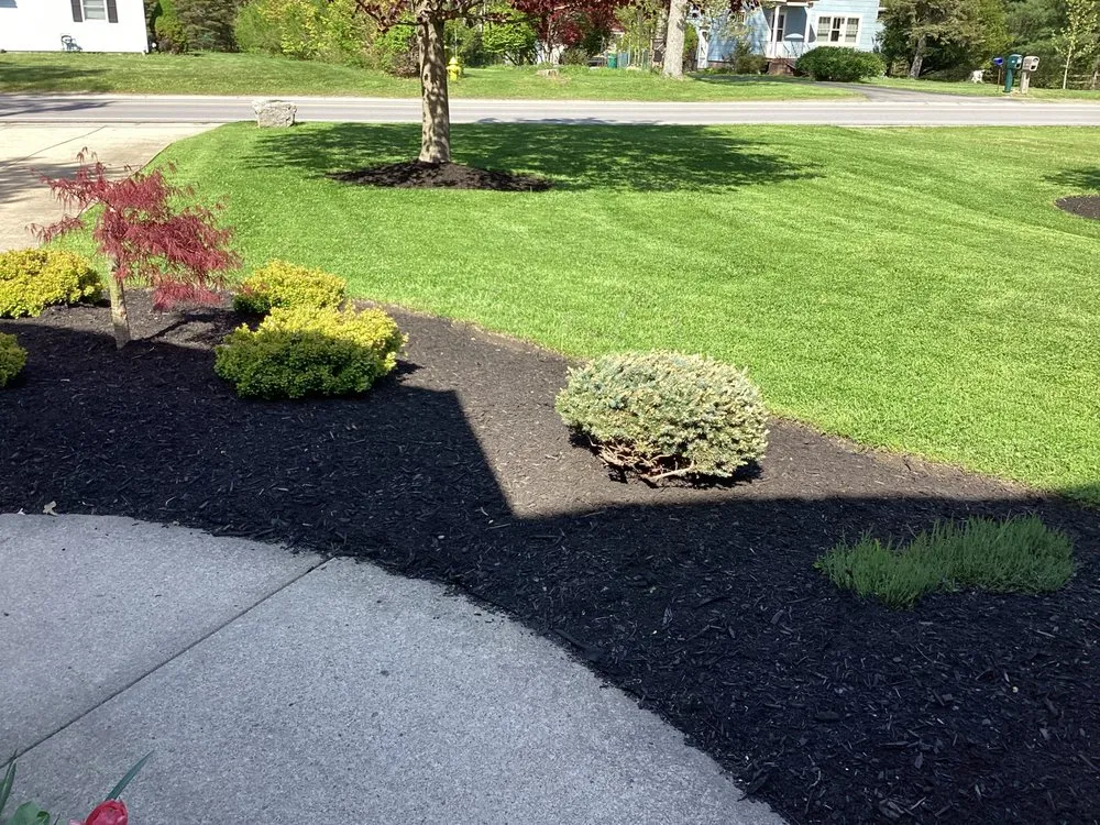 Expert lawn mowing service for beautiful yards in Hamburg, NY by Monaco Garden Center