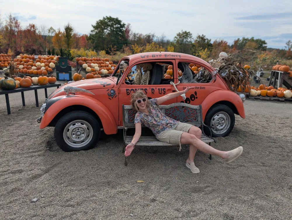 Top-rated yard cleanup service experts serving Hamburg, NY - Monaco Garden Center