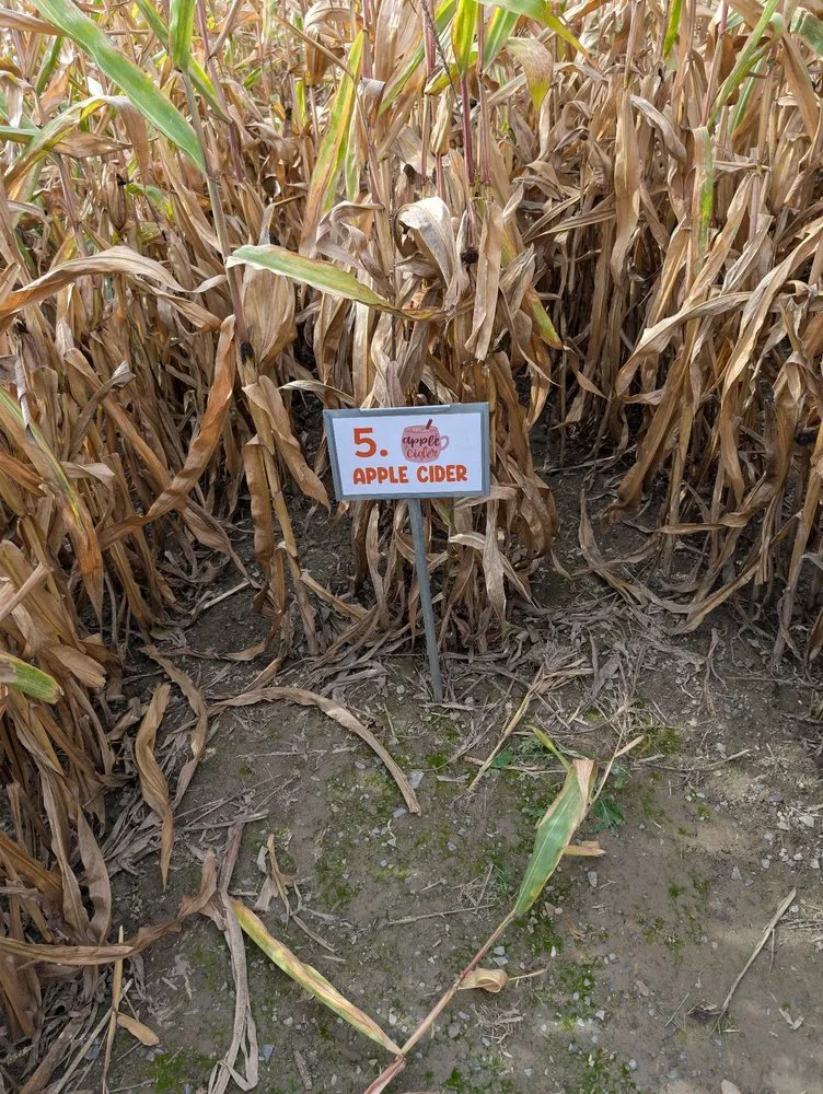 Expert garden landscaping in Hamburg, NY by Monaco Garden Center