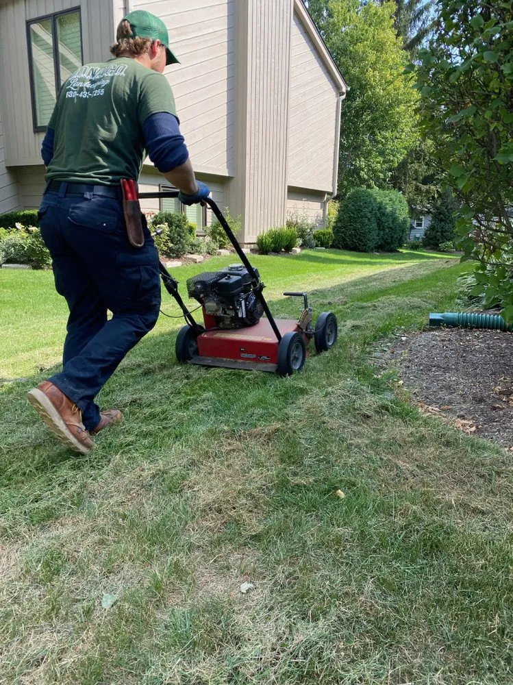 Professional garden landscaping in Darien, IL - Monaco Landscaping