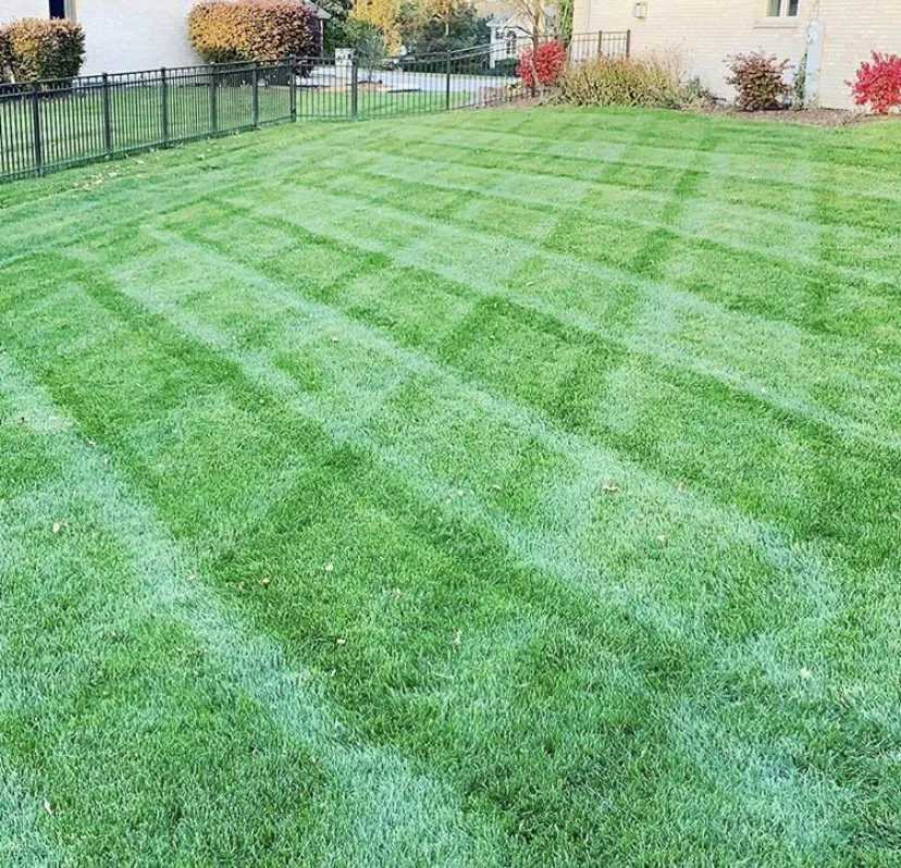 Local yard maintenance for outdoor upgrades in Darien, IL by Monaco Landscaping