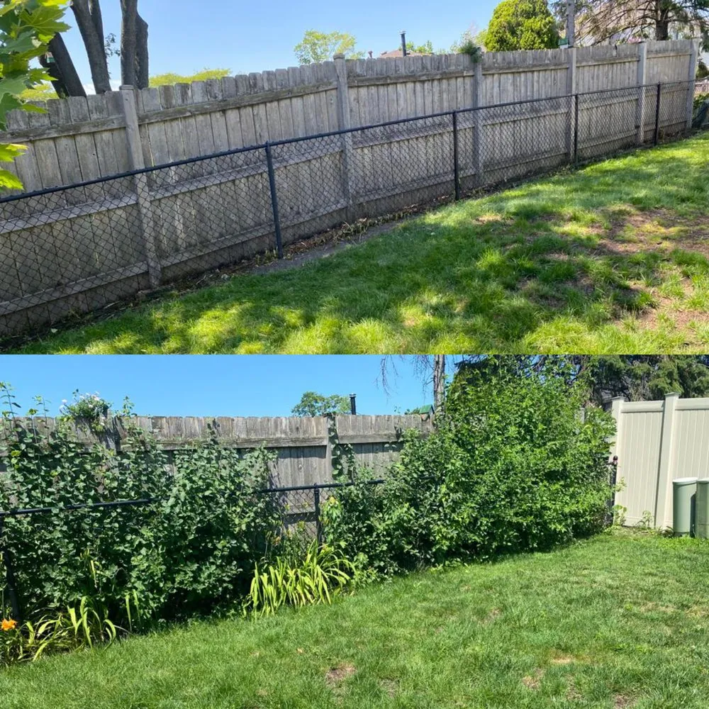 Local yard maintenance for outdoor upgrades in Darien, IL by Monaco Landscaping