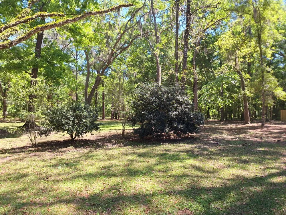 Professional lawn mowing service in Beverly Hills, FL - Monaco's Lawncare