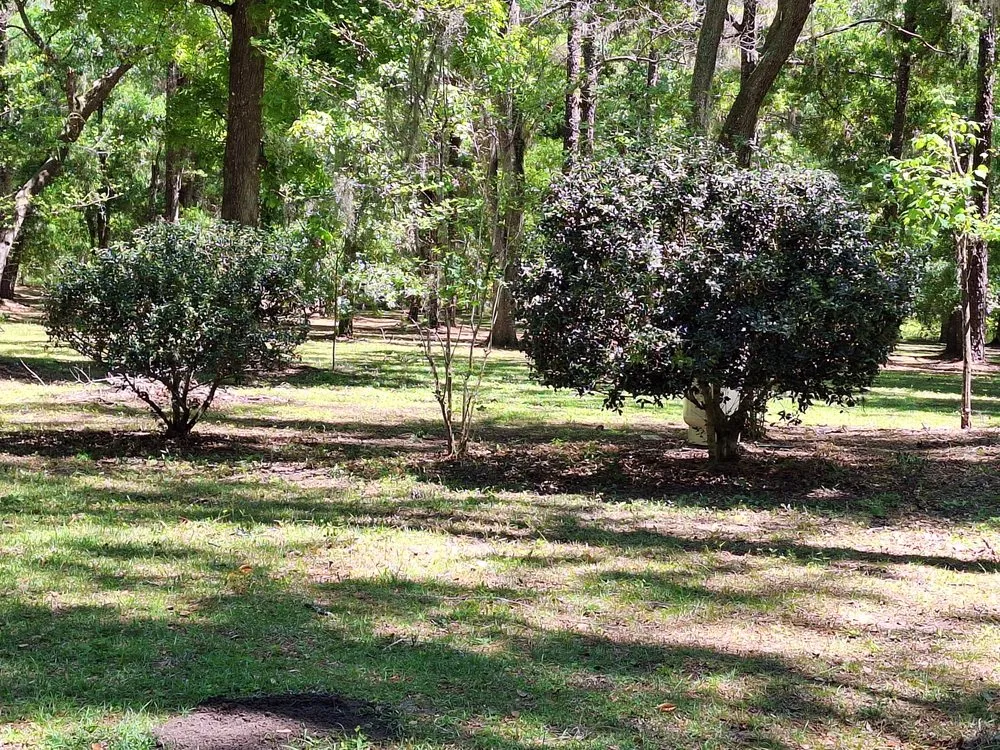 Expert residential landscaping for outdoor upgrades across Beverly Hills, FL - Monaco's Lawncare