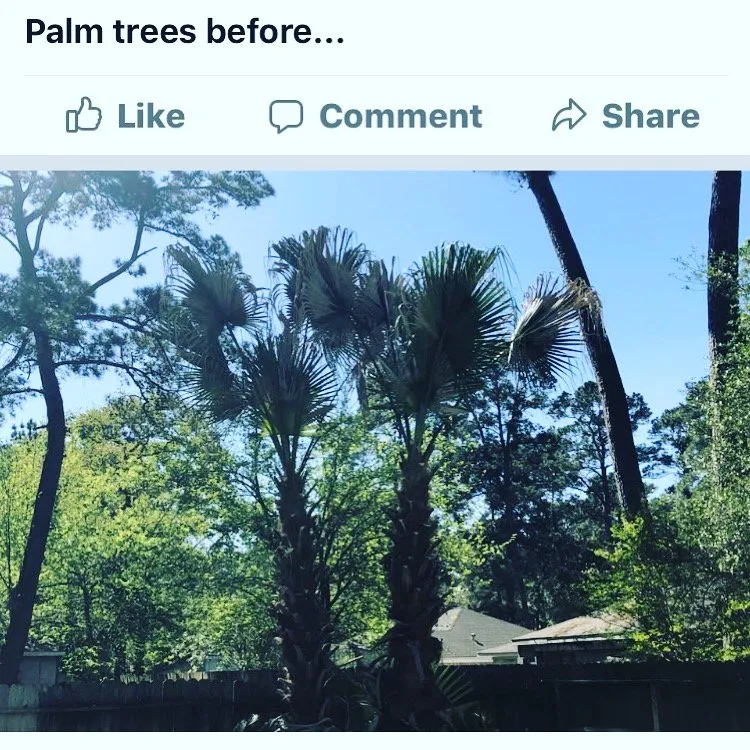 Expert garden landscaping with custom design across Cypress, TX - Monakino Landscape