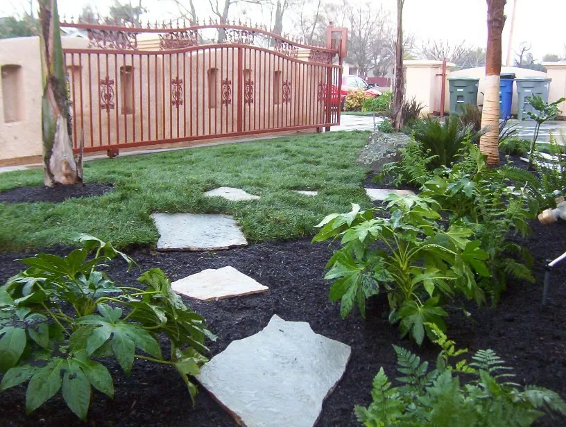 Expert lawn care service with custom design across Fresno, CA - Monarca Landscape & Design