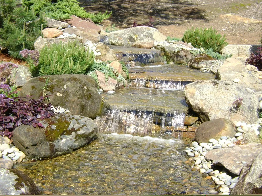 Top-rated lawn care service for homes in Fresno, CA by Monarca Landscape & Design