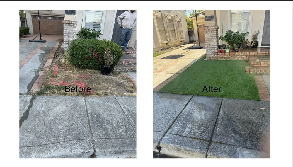 Professional outdoor landscaping in Campbell, CA by Monarcas Lawn Maintenance